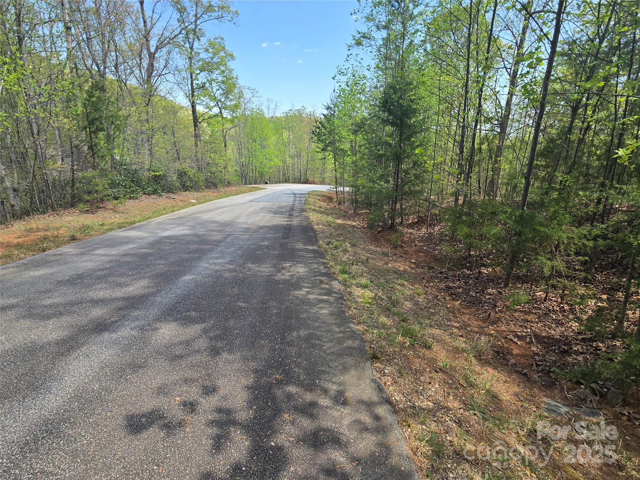 Lot 20 Touch Me Not Trail Lake Lure NC 28746