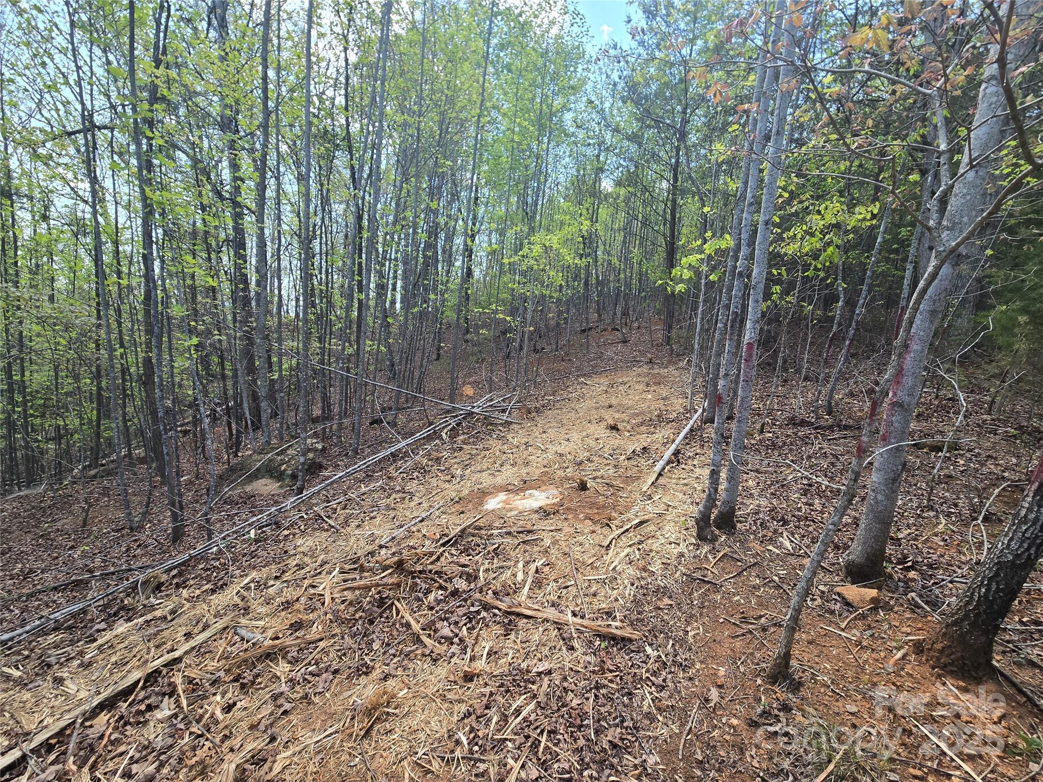 Lot 20 Touch Me Not Trail Lake Lure NC 28746