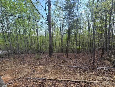 Lot 20 Touch Me Not Trail Lake Lure NC 28746