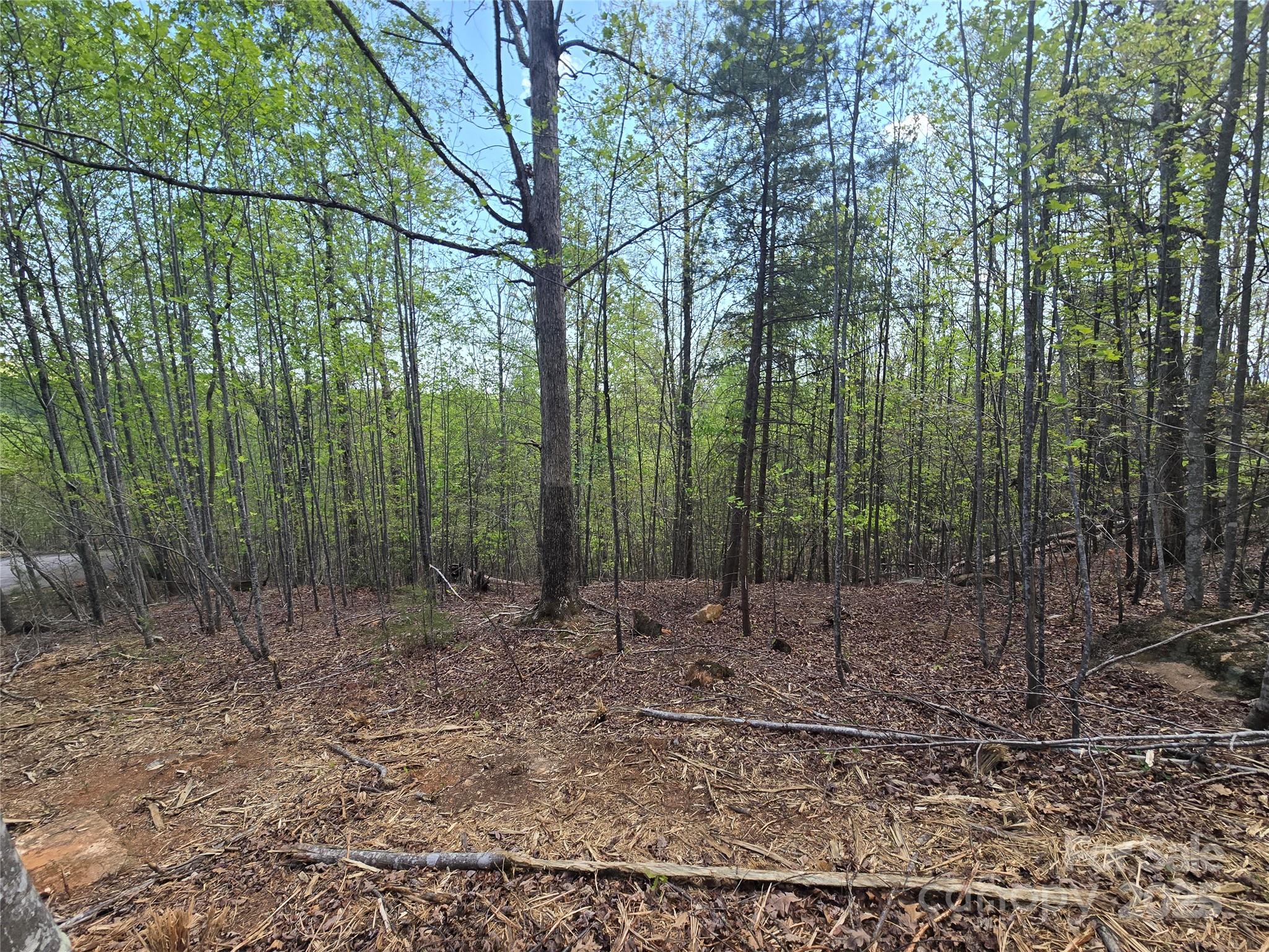 Lot 20 Touch Me Not Trail Lake Lure NC 28746