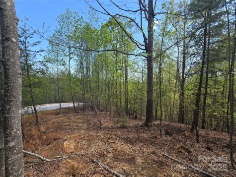 Lot 20 Touch Me Not Trail Lake Lure NC 28746