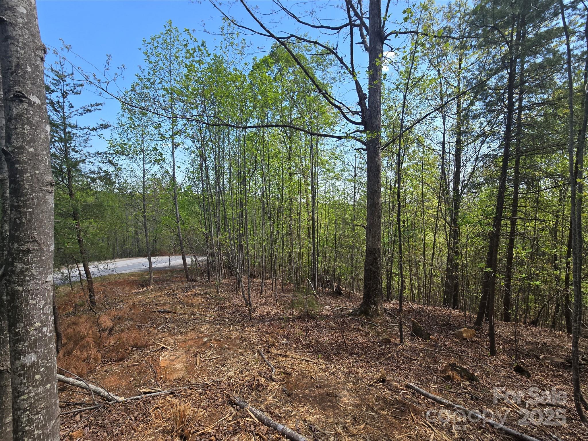 Lot 20 Touch Me Not Trail Lake Lure NC 28746