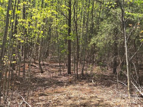 Lot 20 Touch Me Not Trail Lake Lure NC 28746