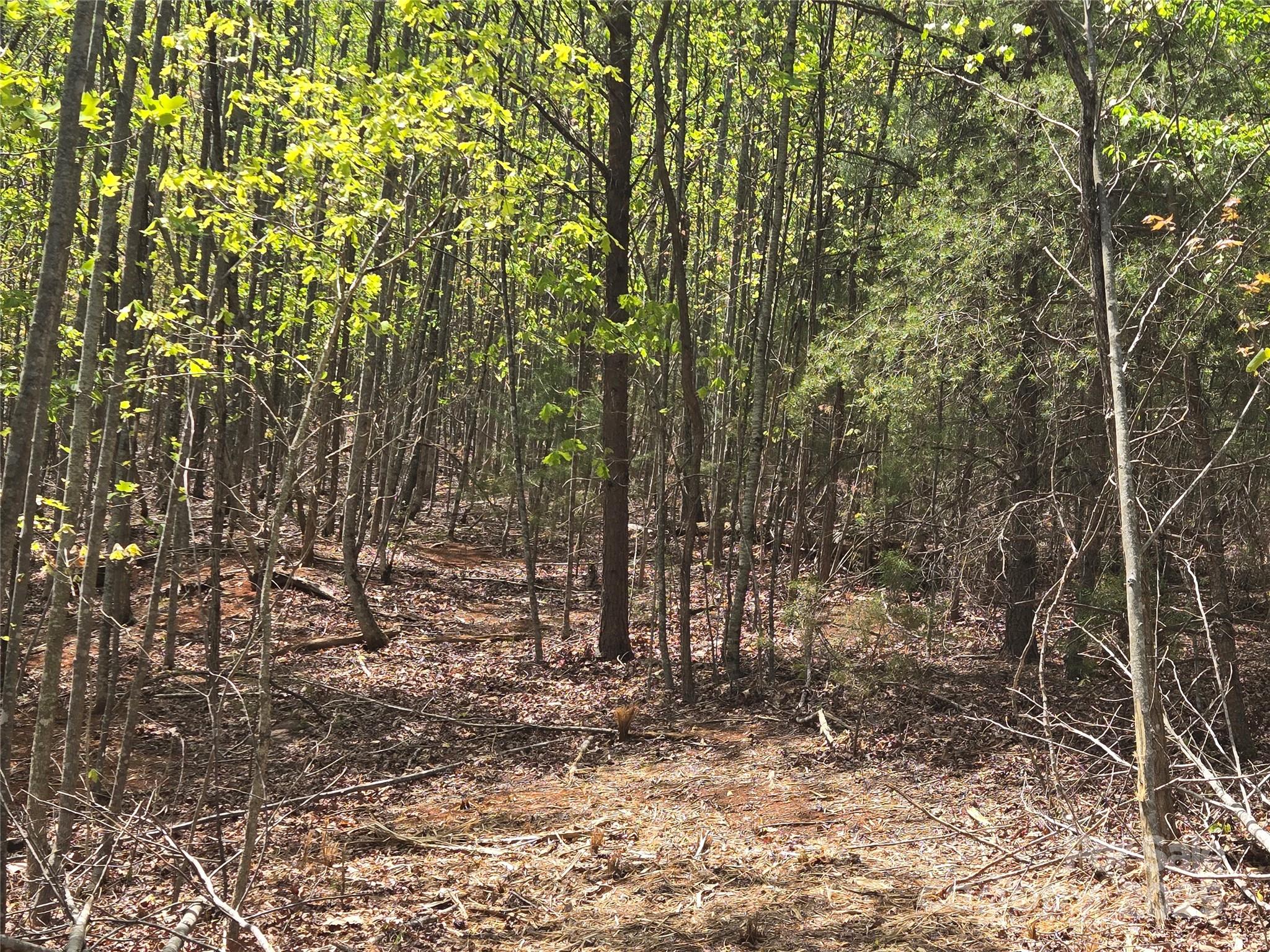 Lot 20 Touch Me Not Trail Lake Lure NC 28746