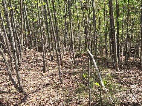 Lot 20 Touch Me Not Trail Lake Lure NC 28746