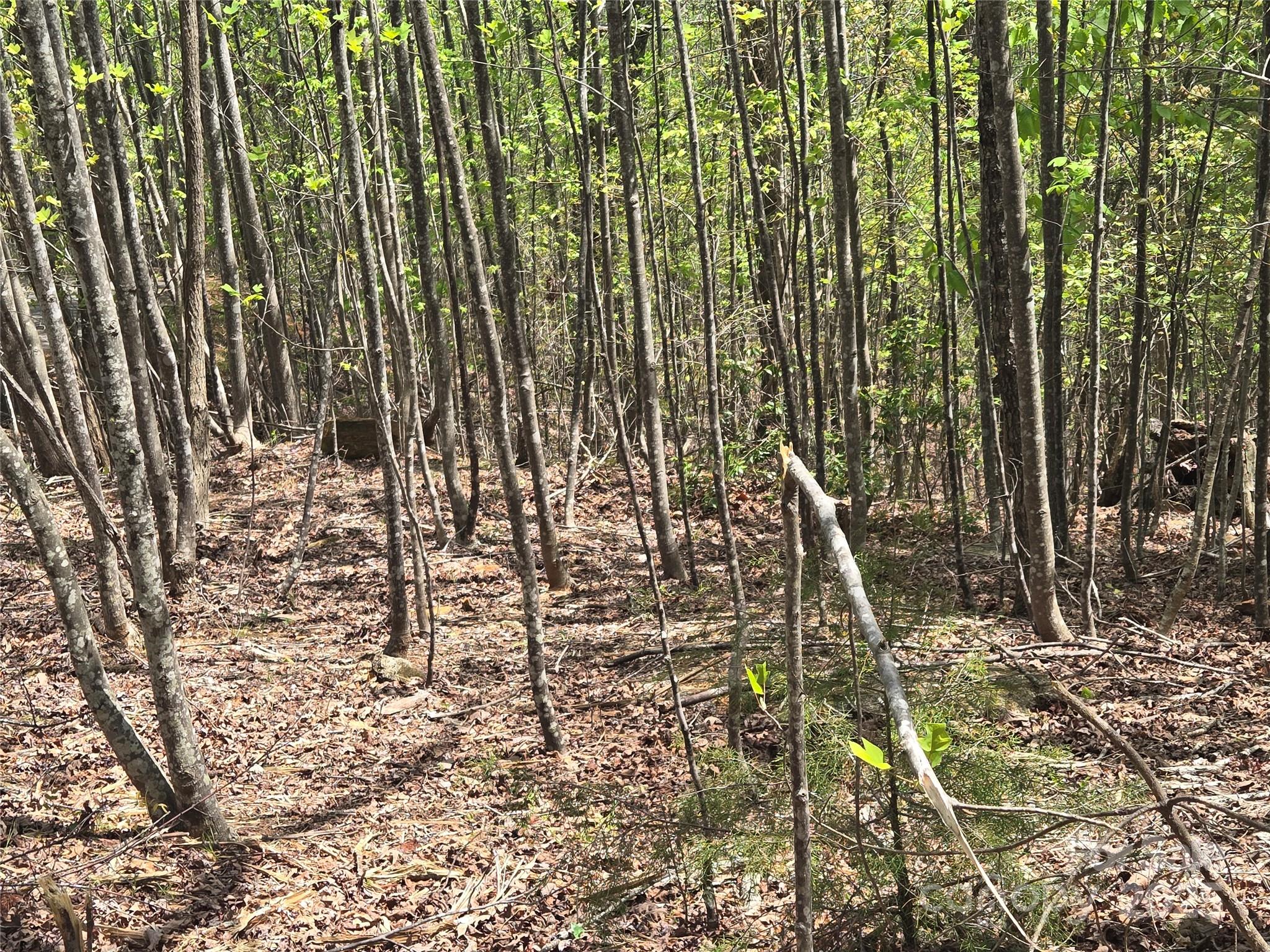 Lot 20 Touch Me Not Trail Lake Lure NC 28746