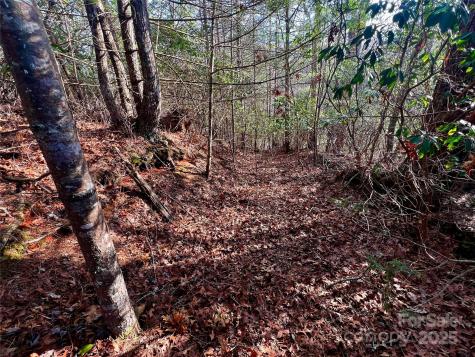Lot 131 Thunder Road Brevard NC 28712