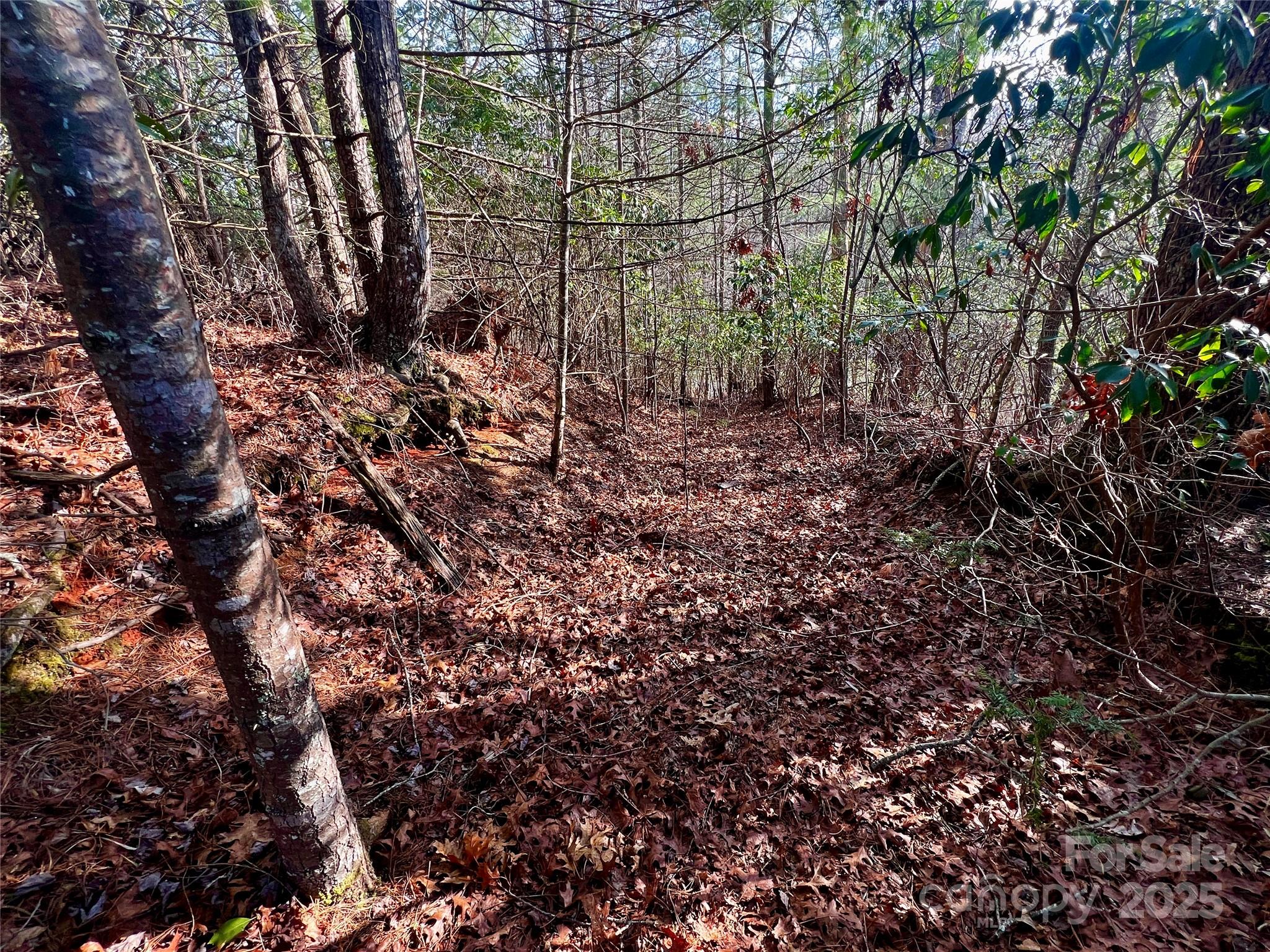 Lot 131 Thunder Road Brevard NC 28712