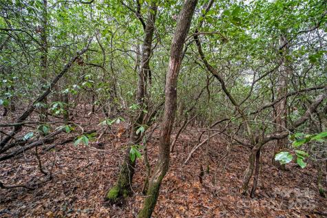 Lot 131 Thunder Road Brevard NC 28712