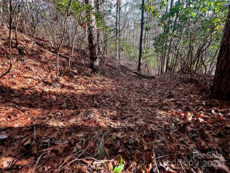 Lot 131 Thunder Road Brevard NC 28712