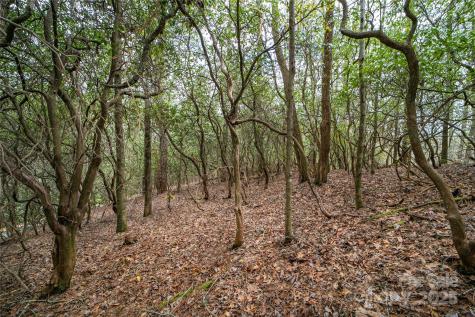 Lot 131 Thunder Road Brevard NC 28712