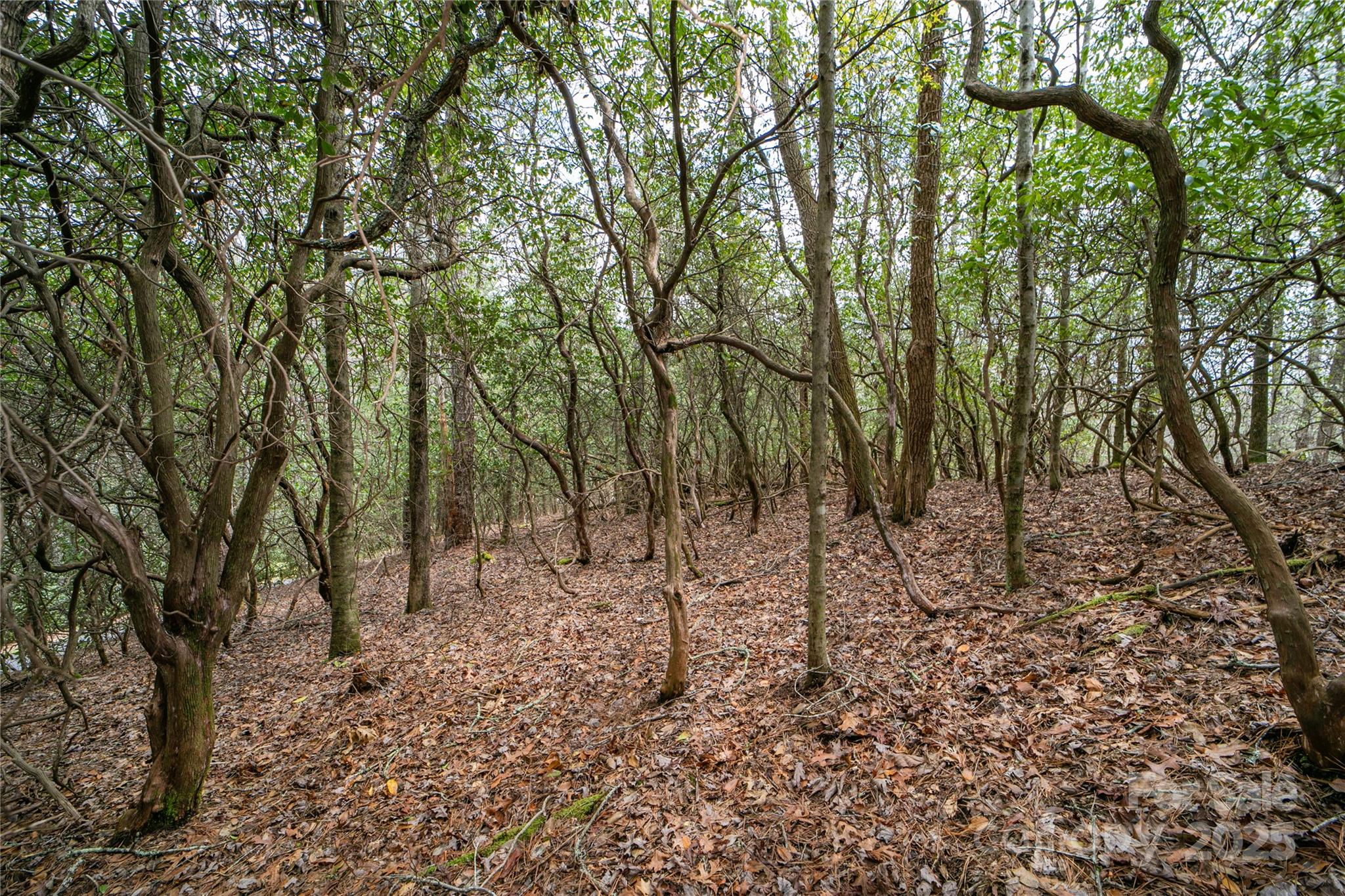 Lot 131 Thunder Road Brevard NC 28712