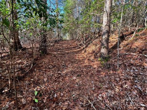 Lot 131 Thunder Road Brevard NC 28712