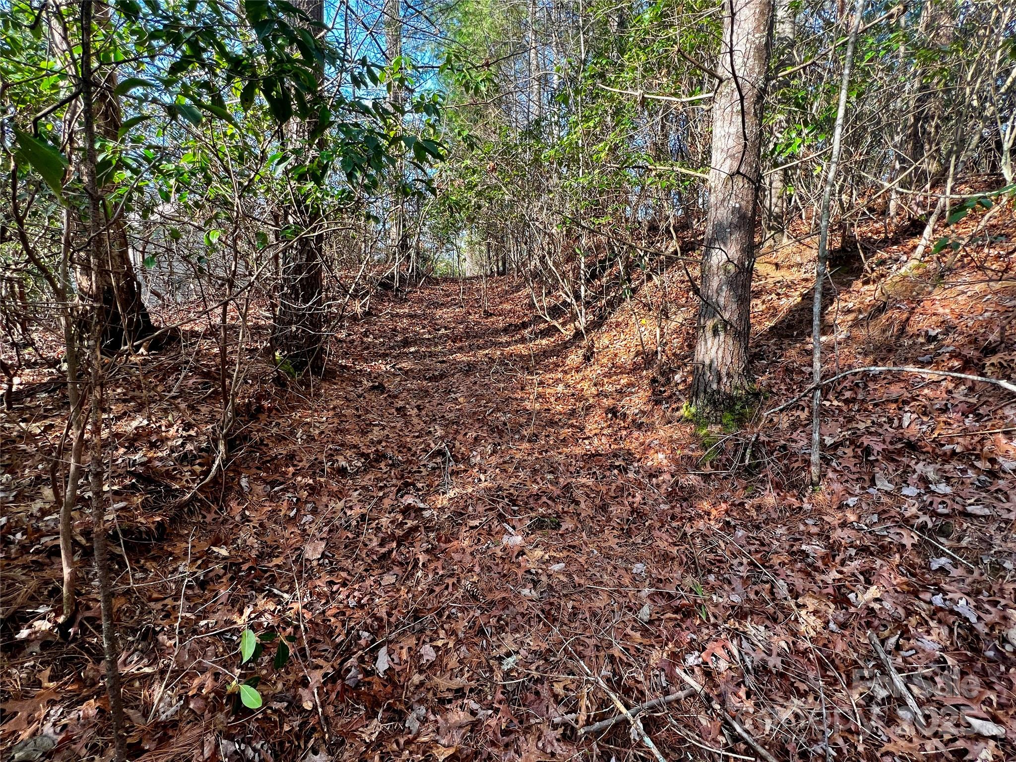 Lot 131 Thunder Road Brevard NC 28712