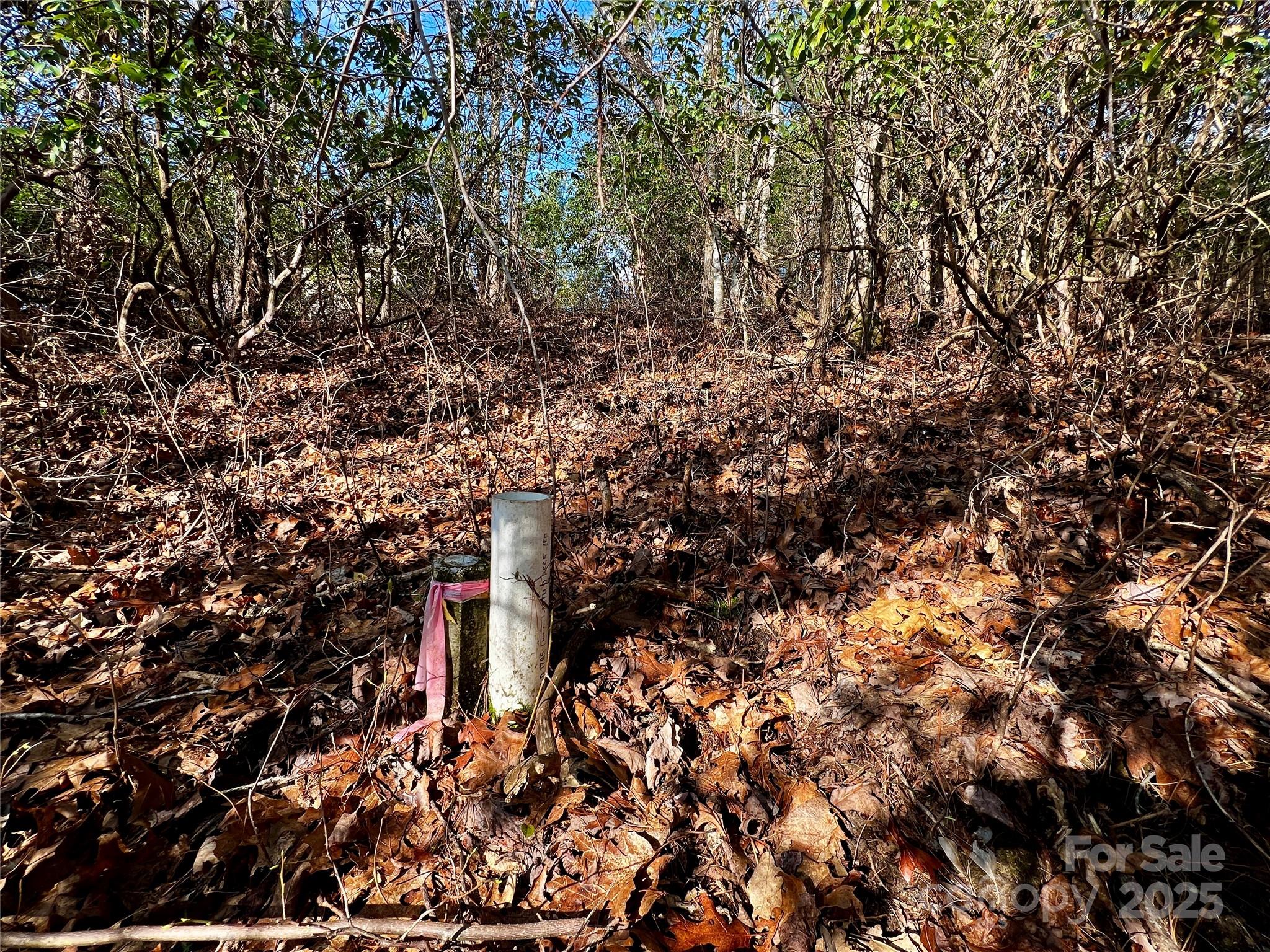 Lot 131 Thunder Road Brevard NC 28712