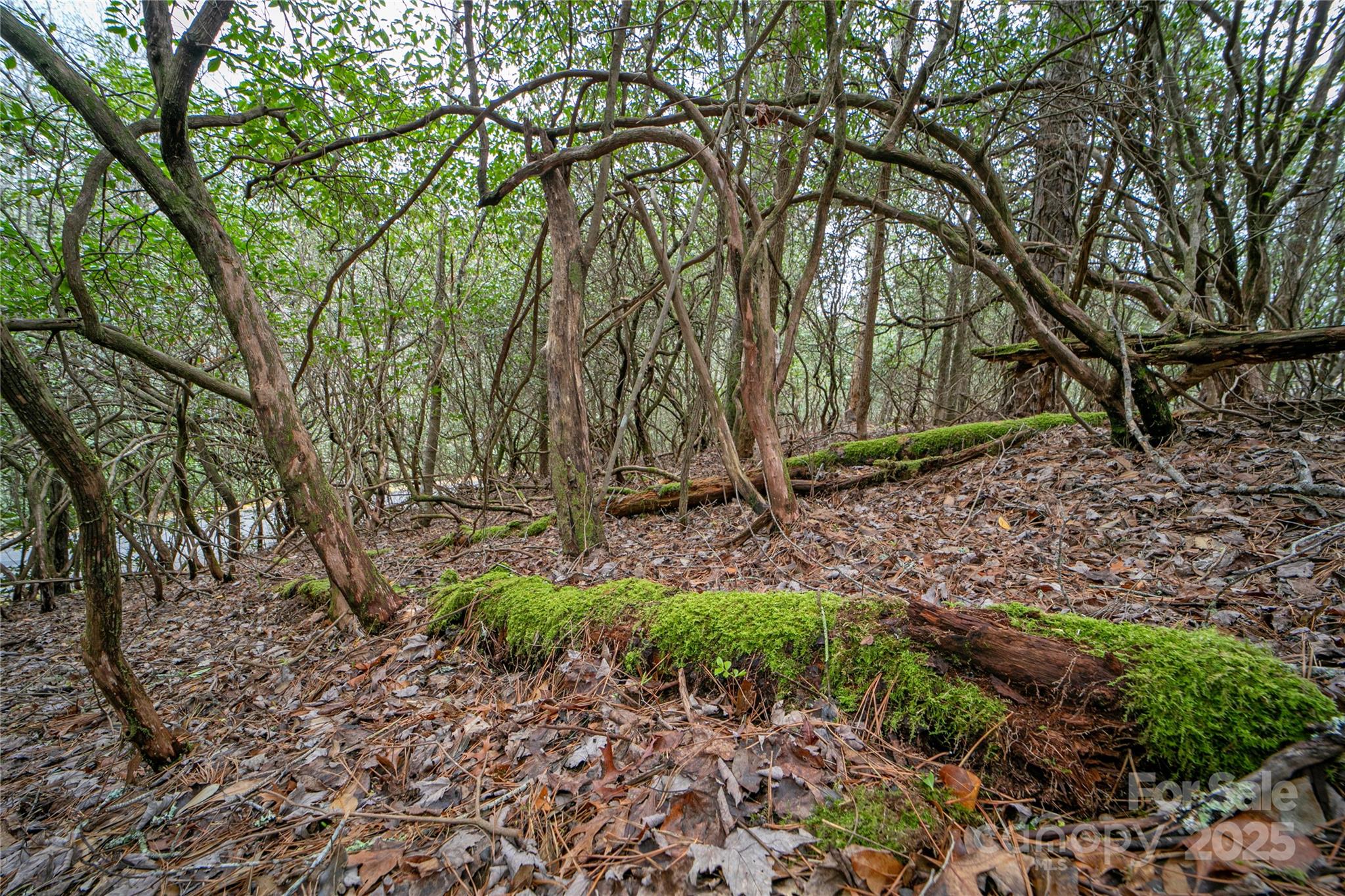 Lot 131 Thunder Road Brevard NC 28712