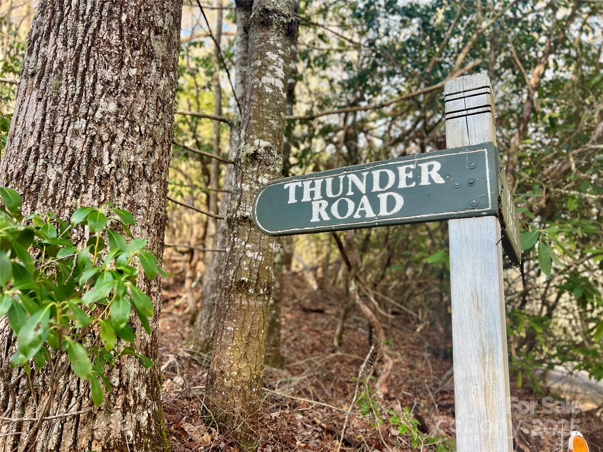 Lot 131 Thunder Road Brevard NC 28712