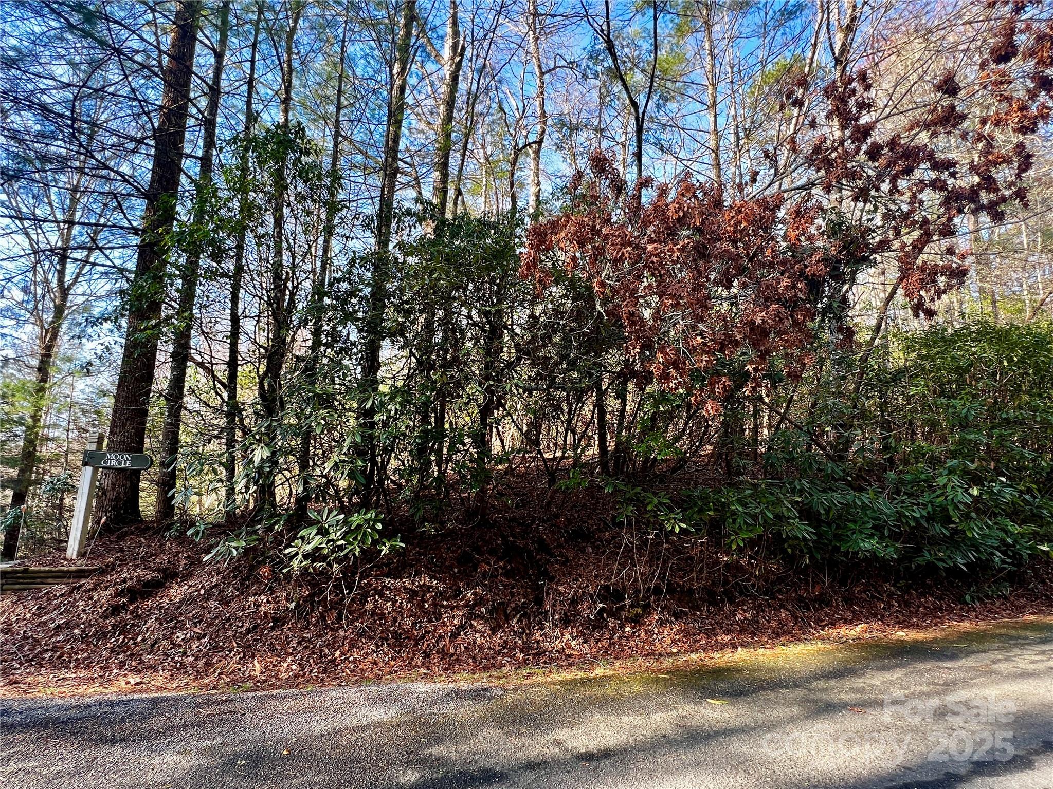 Lot 131 Thunder Road Brevard NC 28712