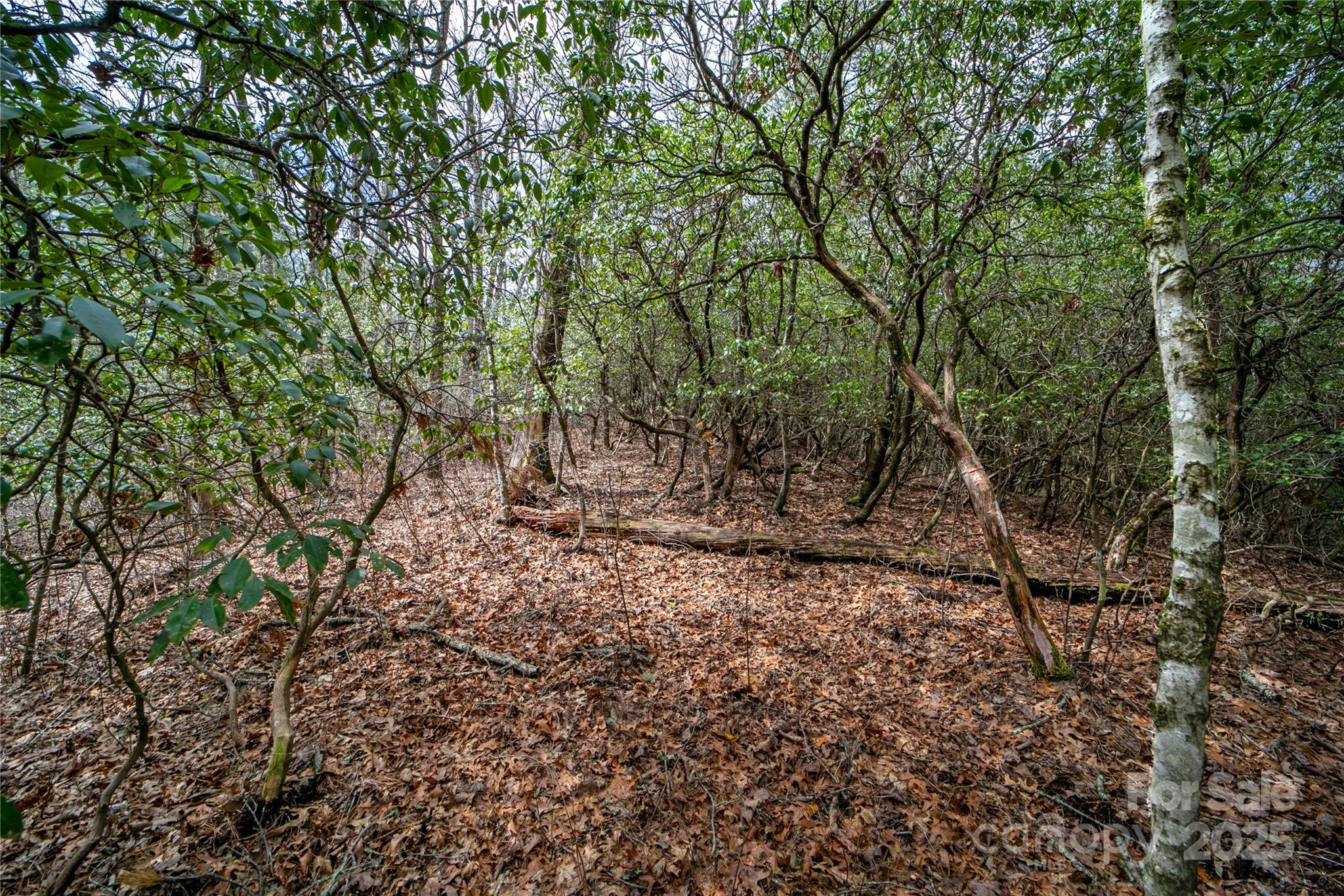 Lot 131 Thunder Road Brevard NC 28712