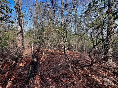 Lot 131 Thunder Road Brevard NC 28712