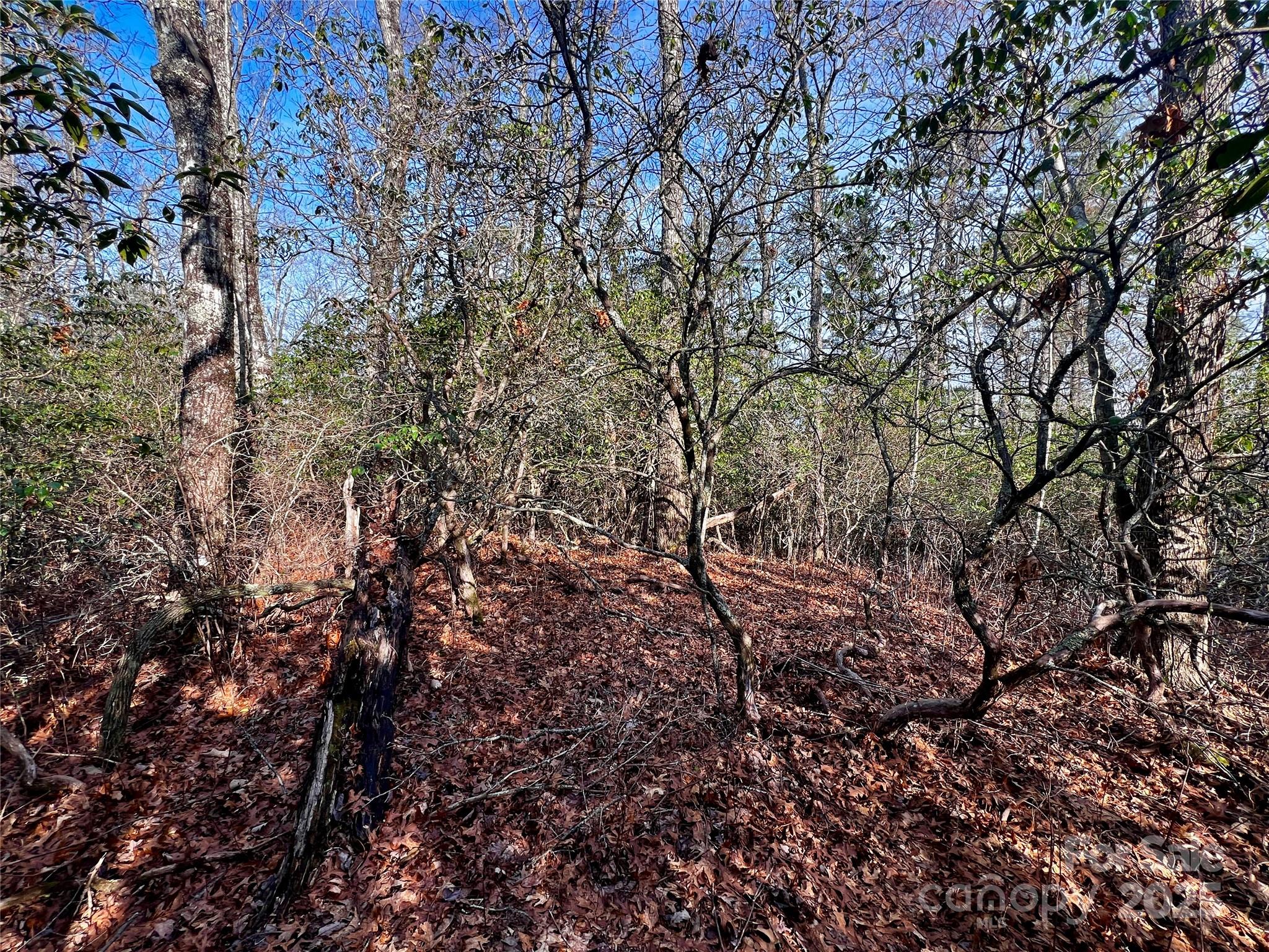 Lot 131 Thunder Road Brevard NC 28712