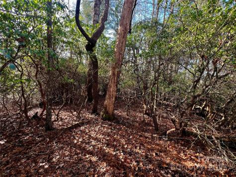 Lot 131 Thunder Road Brevard NC 28712