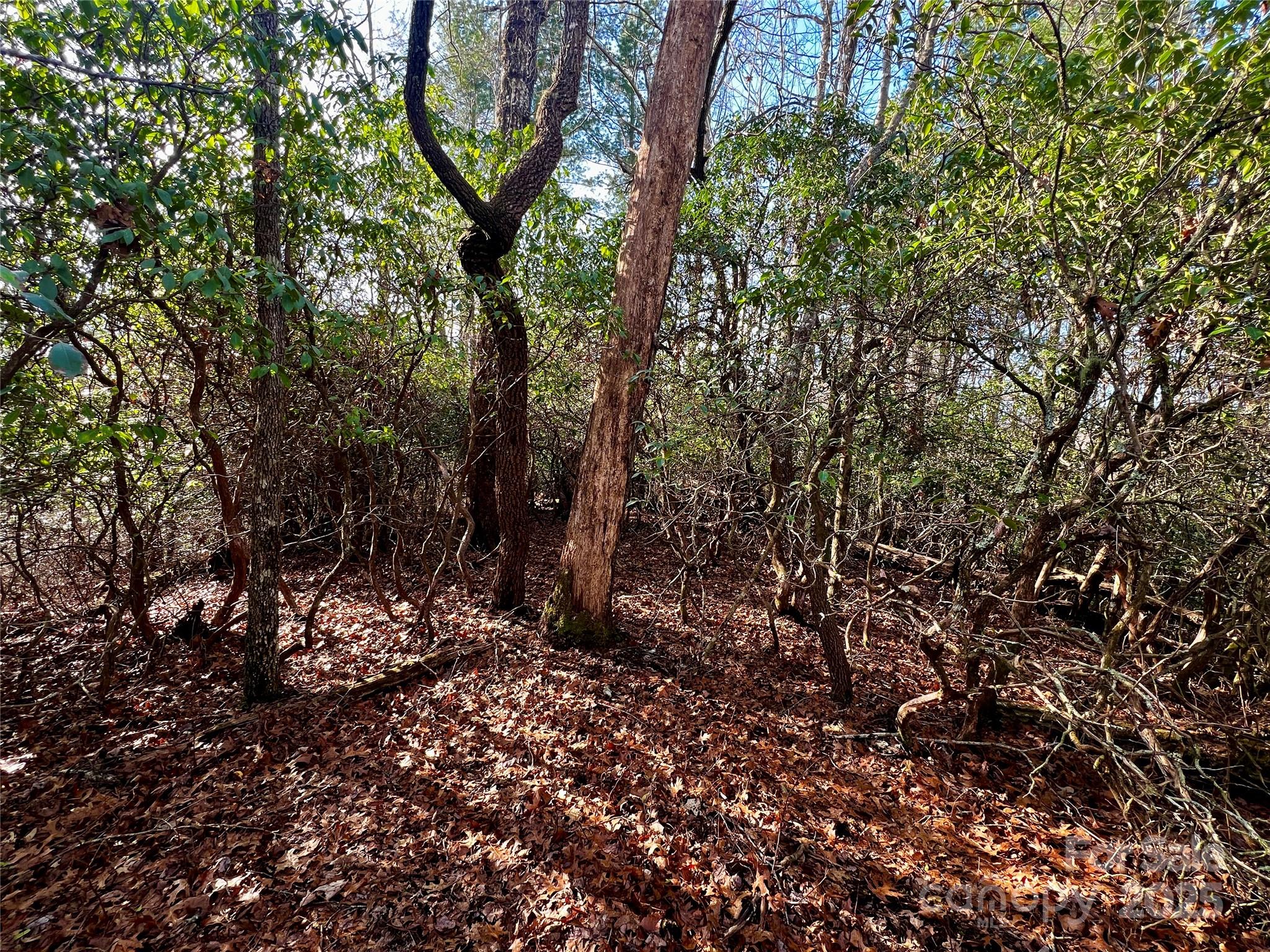 Lot 131 Thunder Road Brevard NC 28712