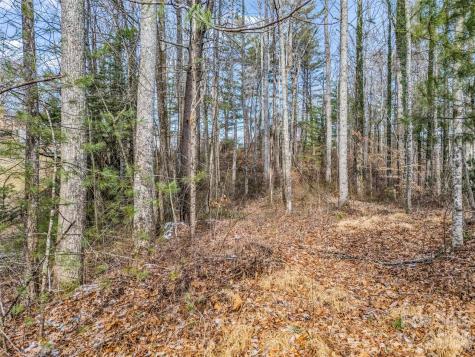 88 Summer Shade Court Hendersonville NC 28792