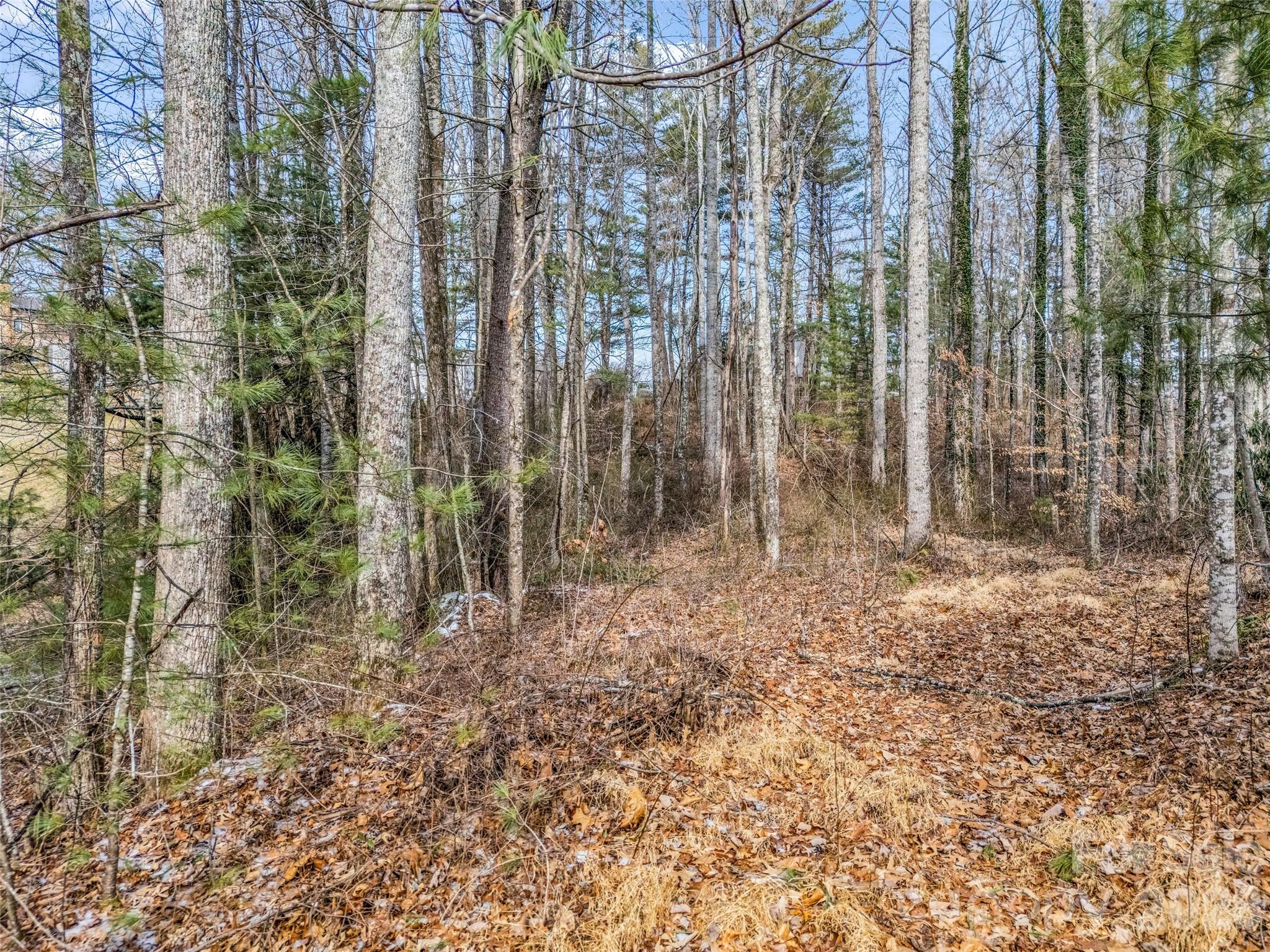 88 Summer Shade Court Hendersonville NC 28792