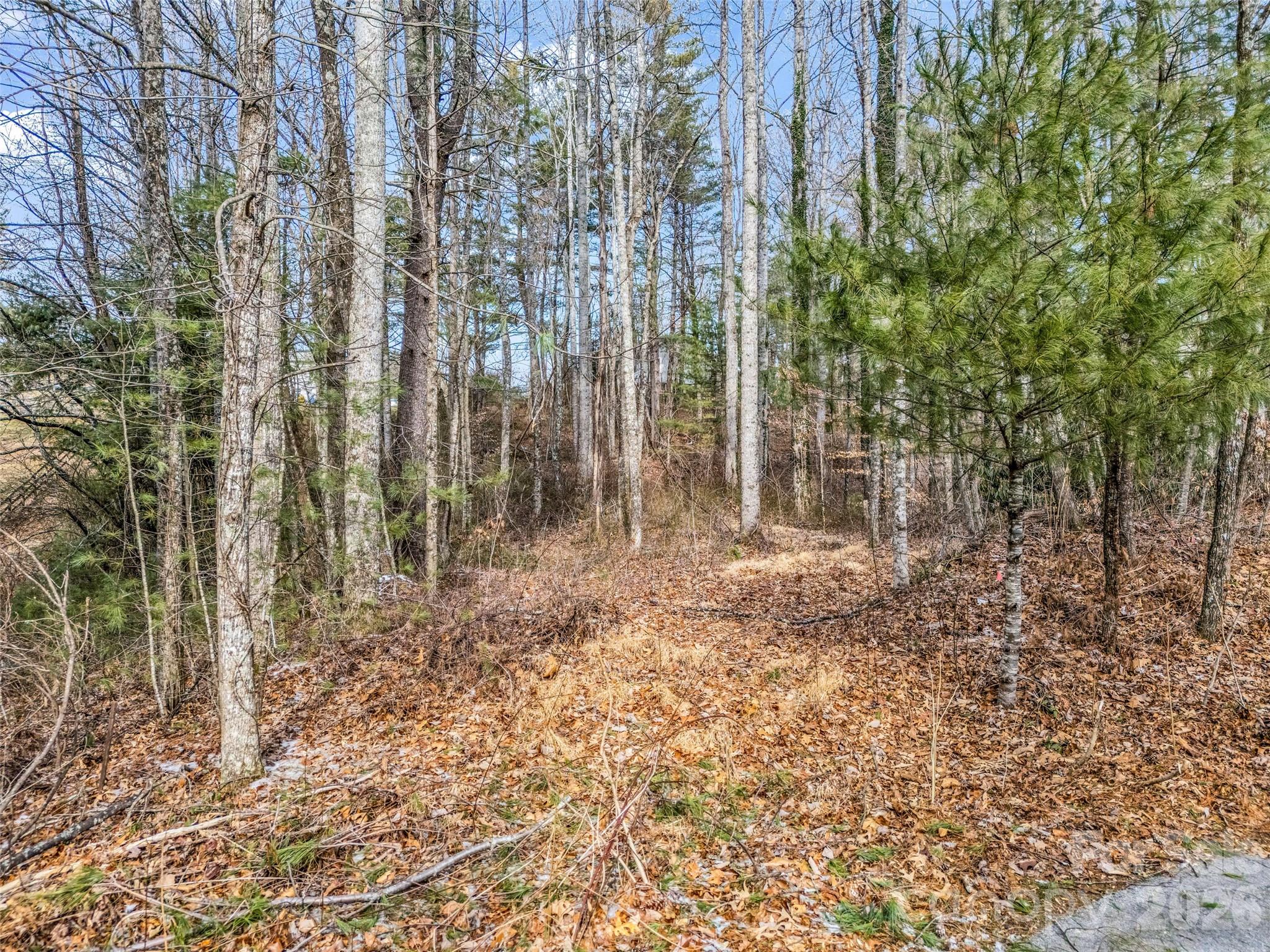 88 Summer Shade Court Hendersonville NC 28792