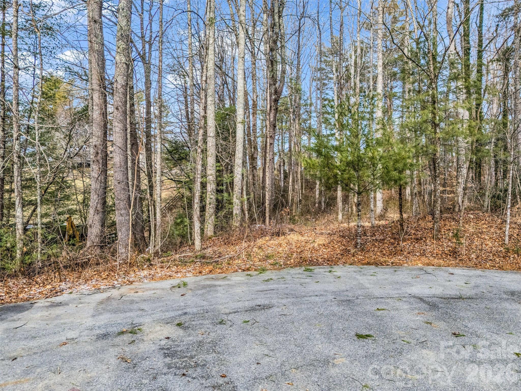 88 Summer Shade Court Hendersonville NC 28792