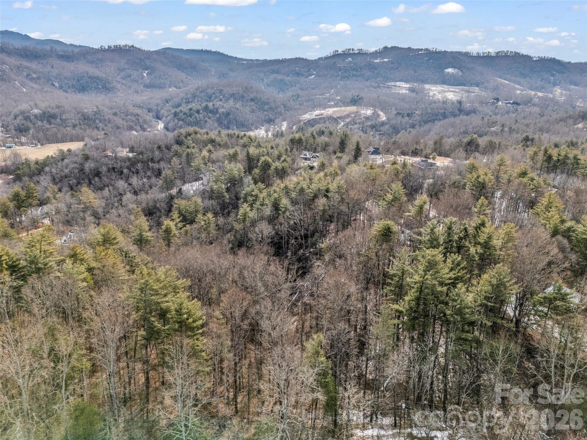 88 Summer Shade Court Hendersonville NC 28792