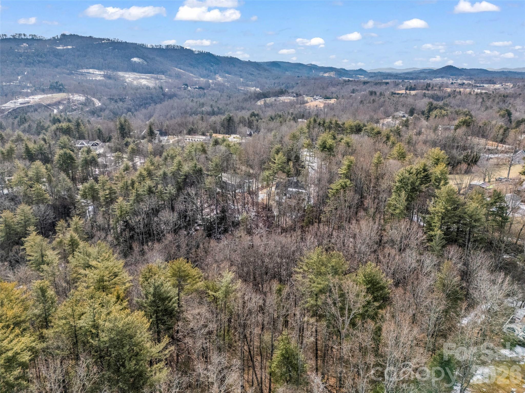 88 Summer Shade Court Hendersonville NC 28792