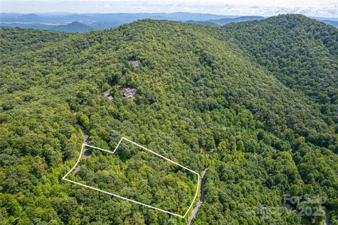 579 Bluemist Way Arden NC 28704
