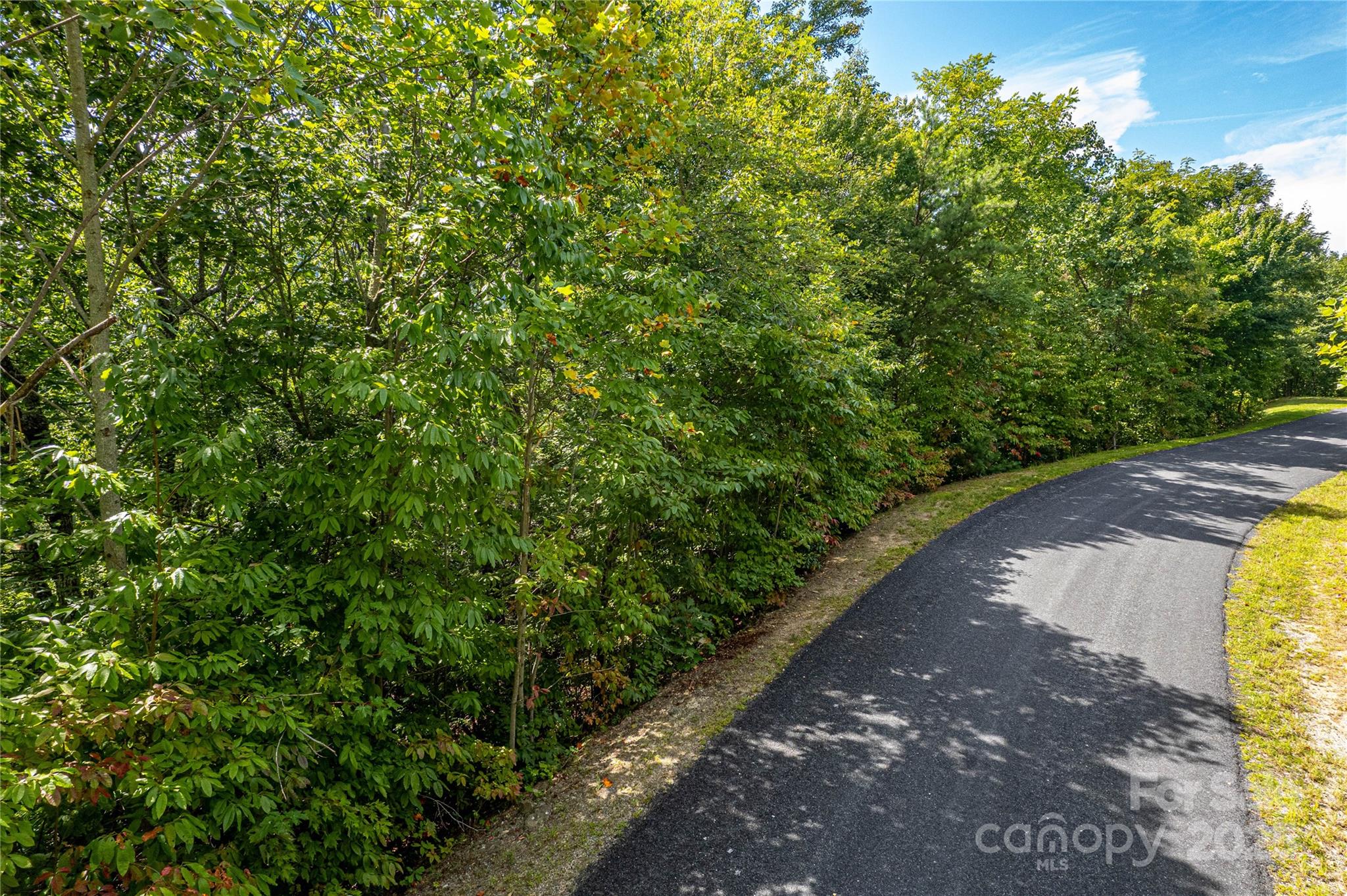 579 Bluemist Way Arden NC 28704
