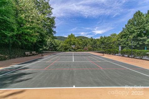 579 Bluemist Way Arden NC 28704