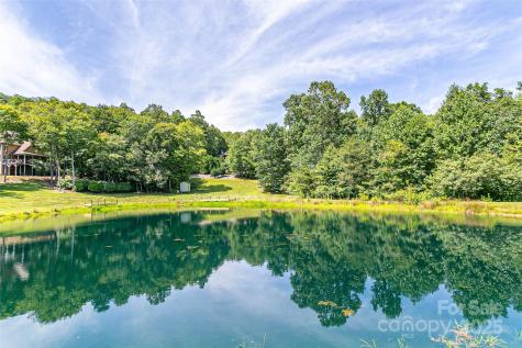 579 Bluemist Way Arden NC 28704
