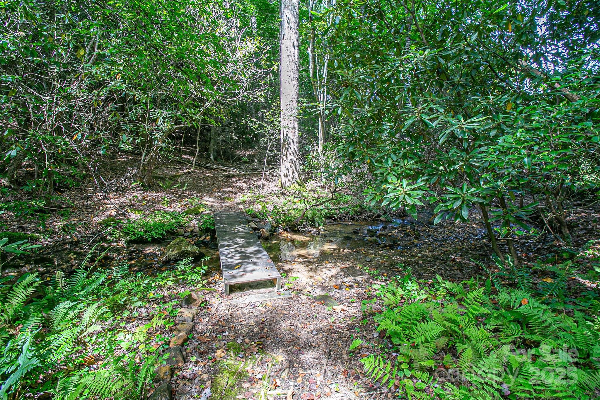 579 Bluemist Way Arden NC 28704