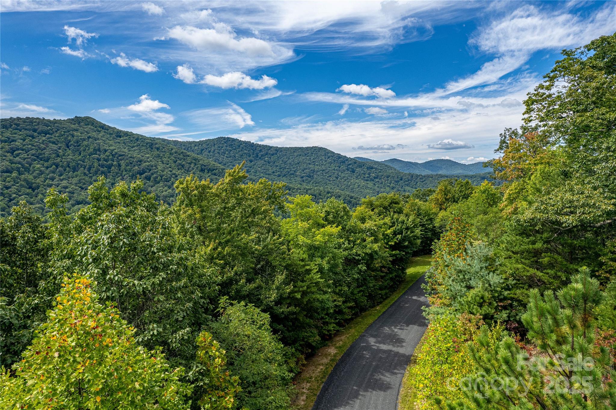 579 Bluemist Way Arden NC 28704