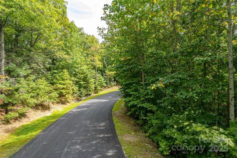 579 Bluemist Way Arden NC 28704