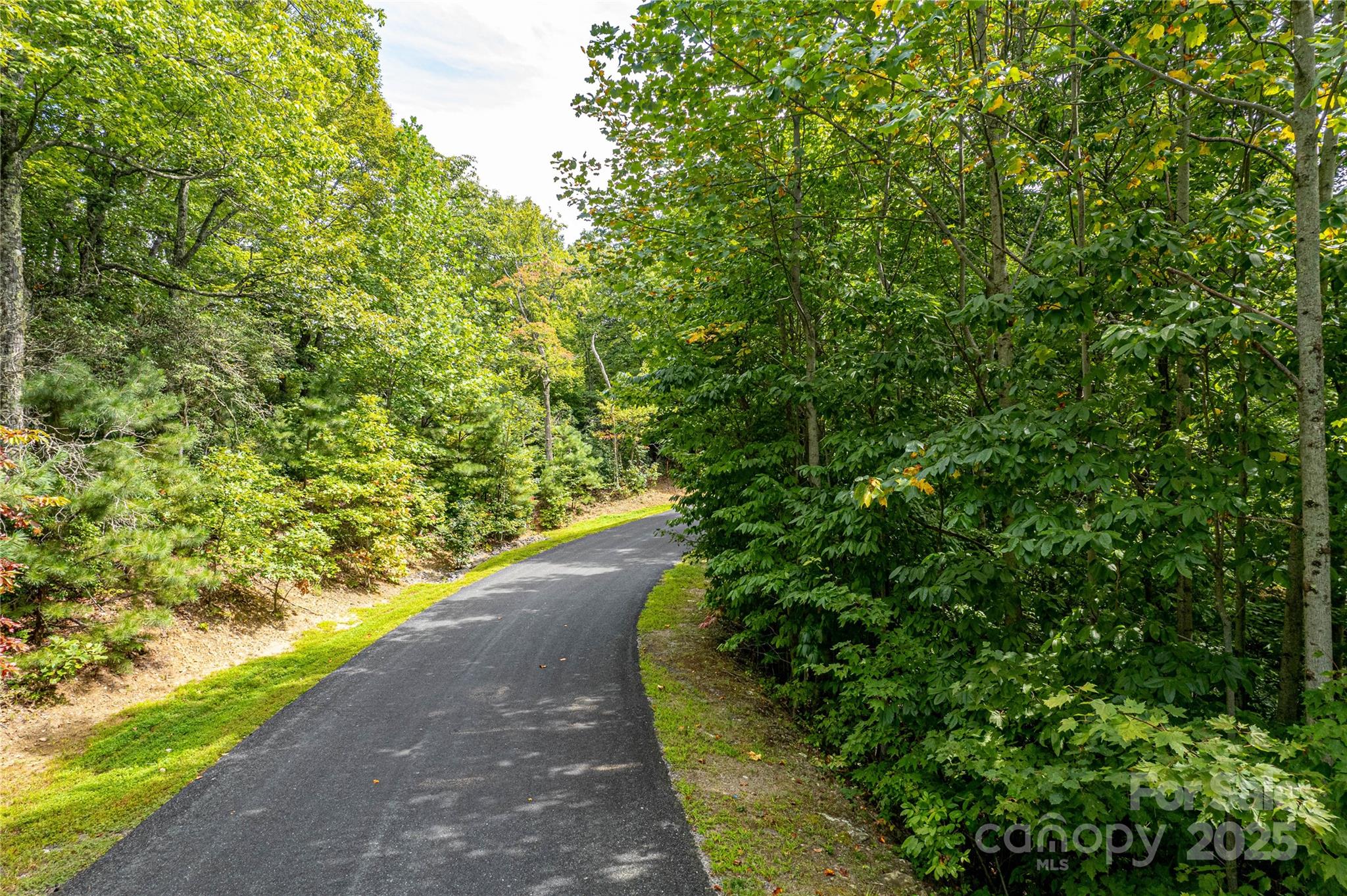 579 Bluemist Way Arden NC 28704