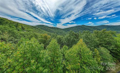 579 Bluemist Way Arden NC 28704