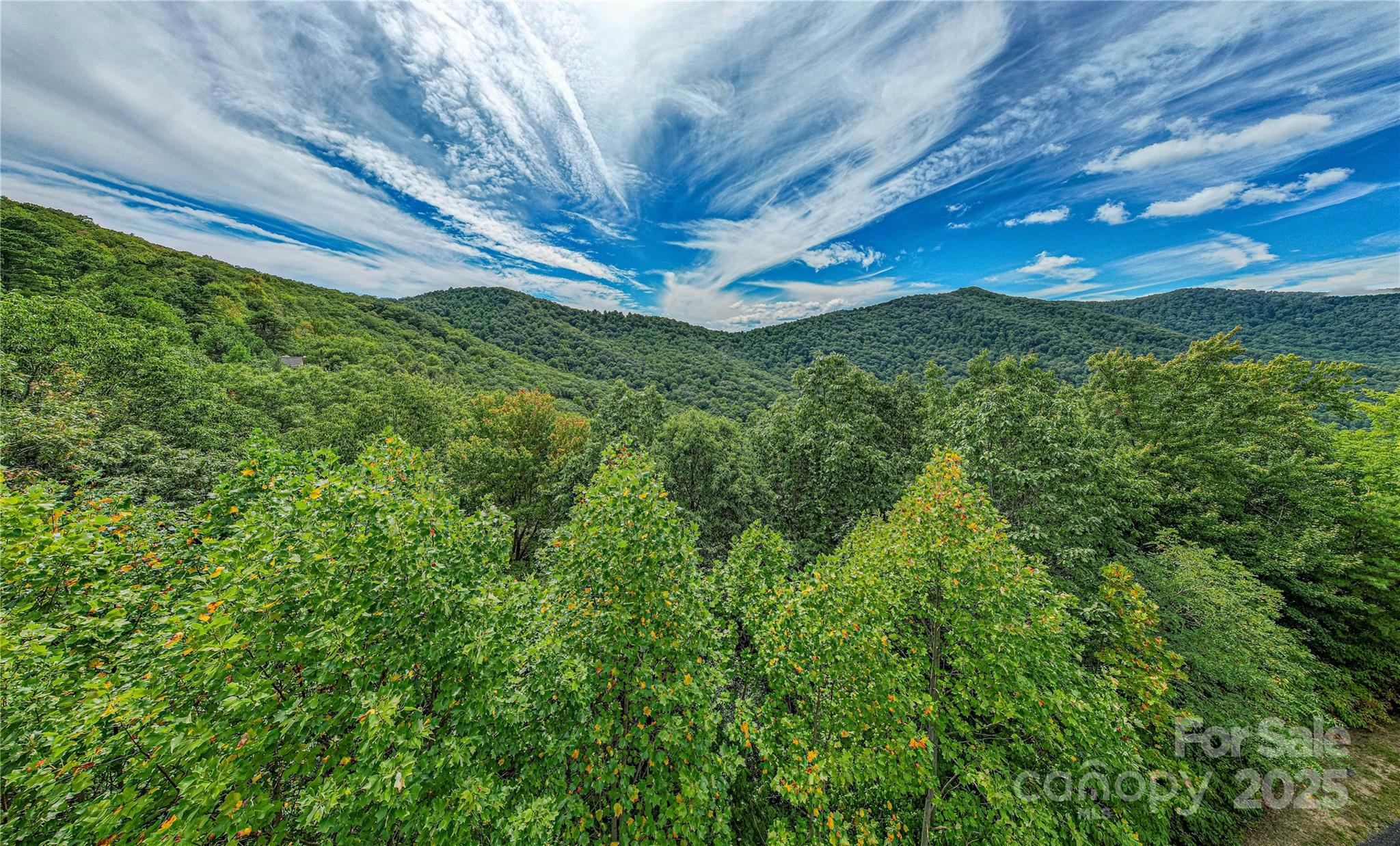 579 Bluemist Way Arden NC 28704