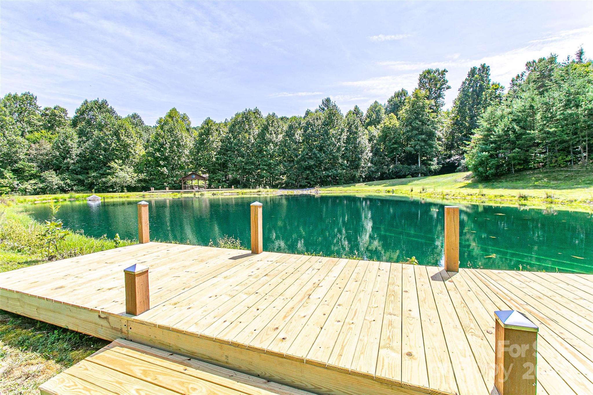 579 Bluemist Way Arden NC 28704