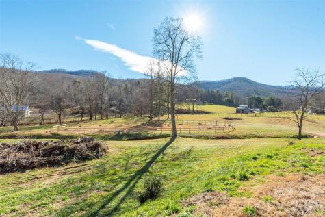 366 Dix Creek #2 Road Leicester NC 28748