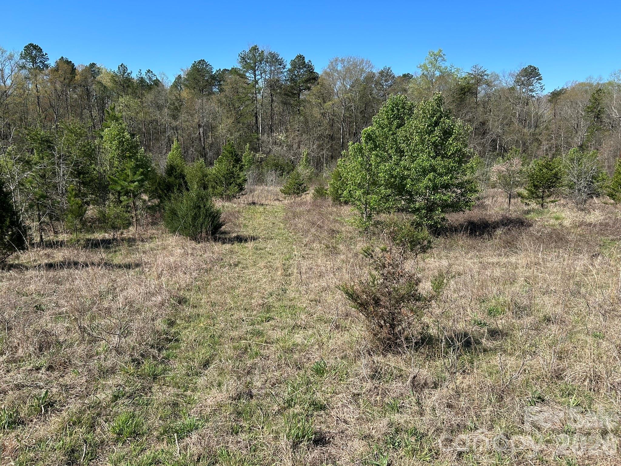 00 Island Ford Road Mooresboro NC 28114