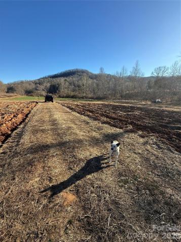 000 Old Fort Sugar Hill Road Marion NC 28752