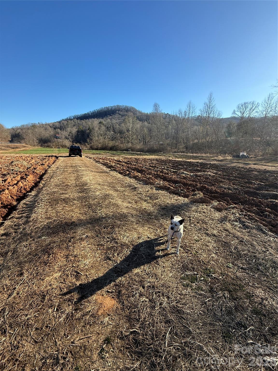 000 Old Fort Sugar Hill Road Marion NC 28752