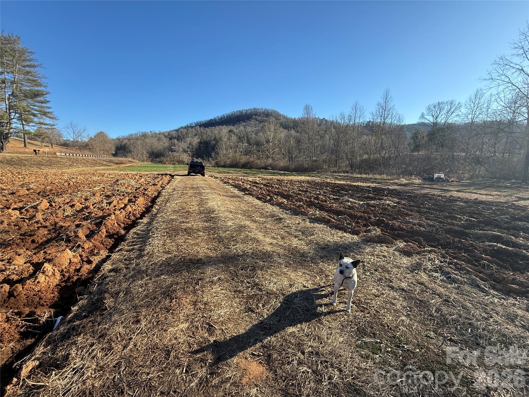 000 Old Fort Sugar Hill Road Marion NC 28752