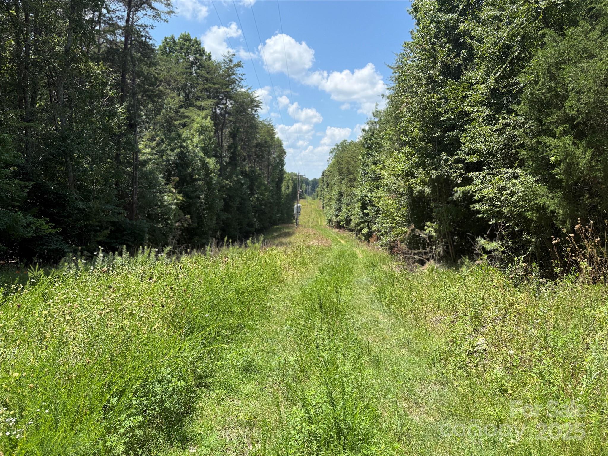 438 Pine River Trail Clemmons NC 27012